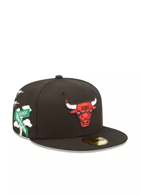 Cloud Icon 5950 Chicago Bulls 60243760