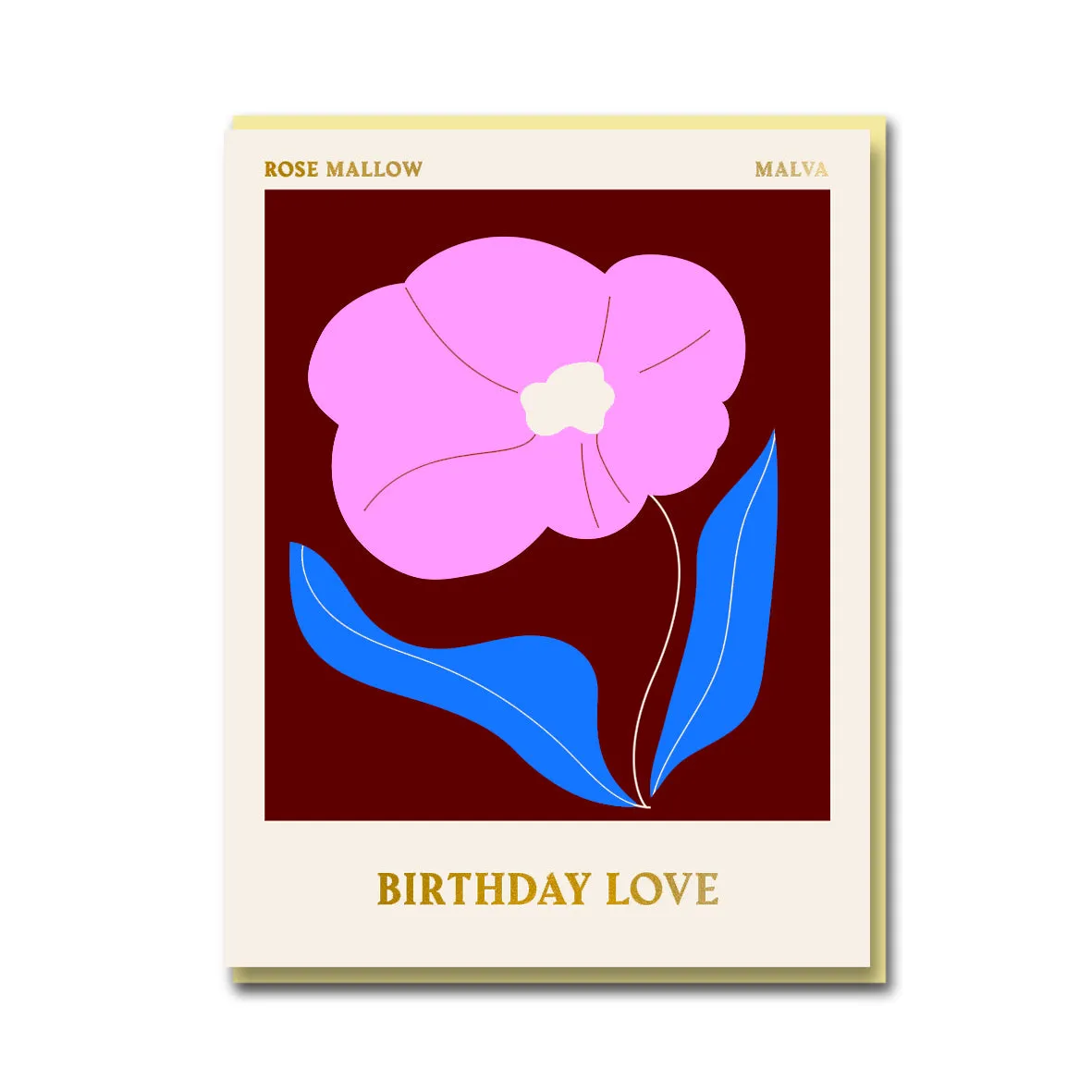 DC Columbia Road - Rose Mallow - Birthday Love - S3E