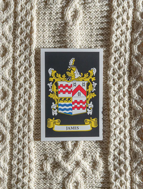 James Clan Scarf