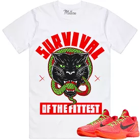 SURVIVAL : White Sneaker Tees Shirt