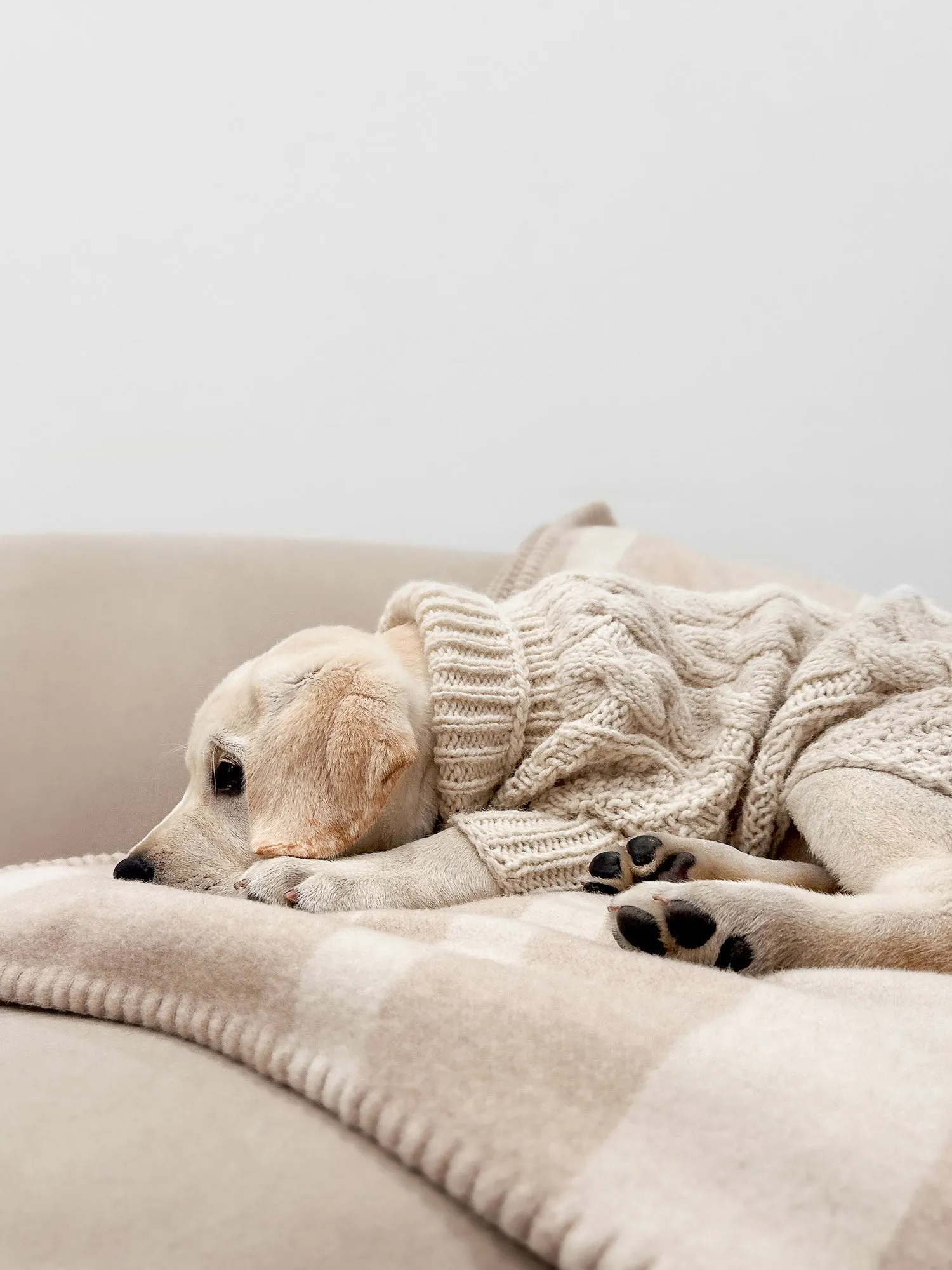 The Cable Dog Sweater