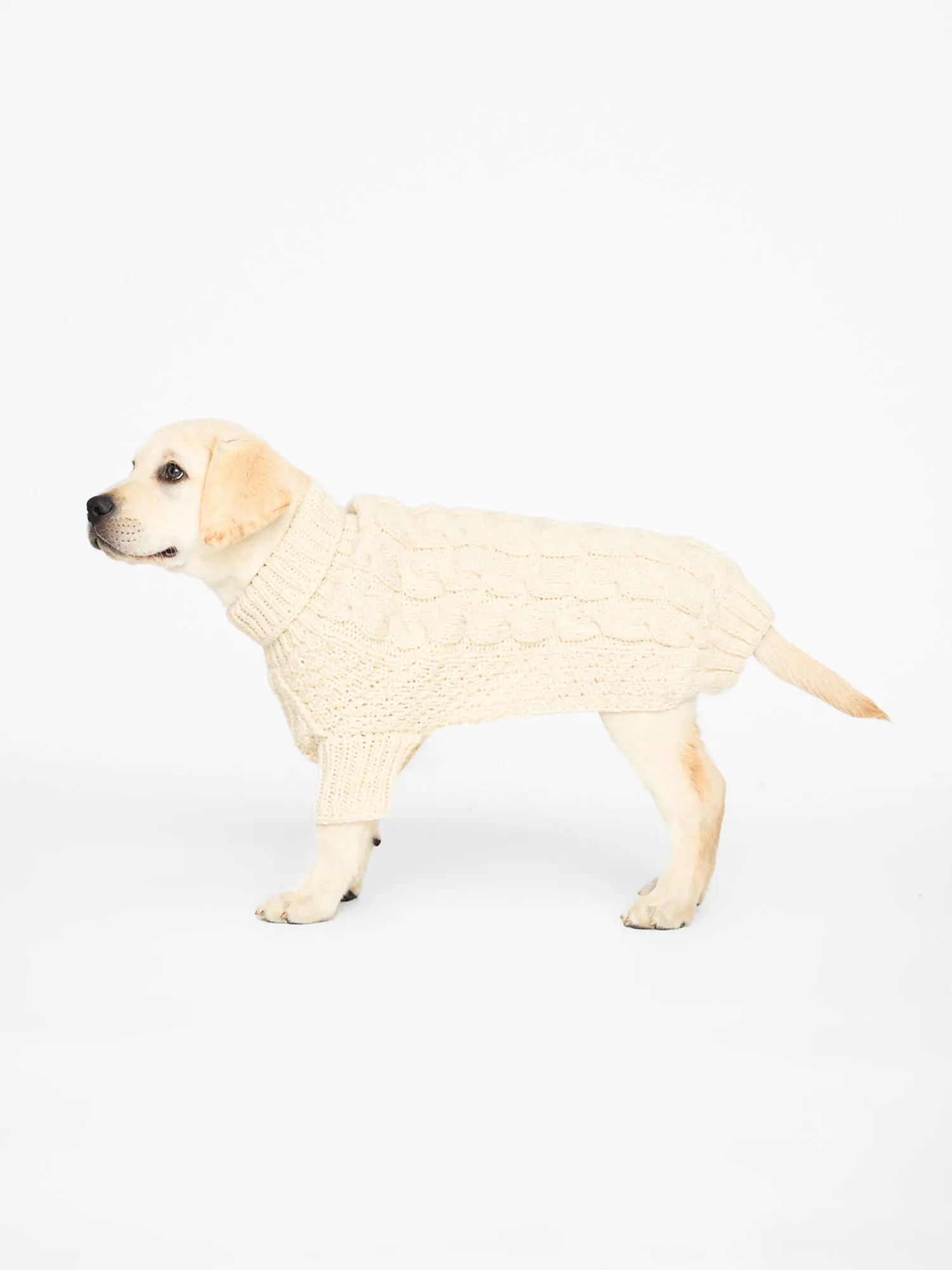 The Cable Dog Sweater