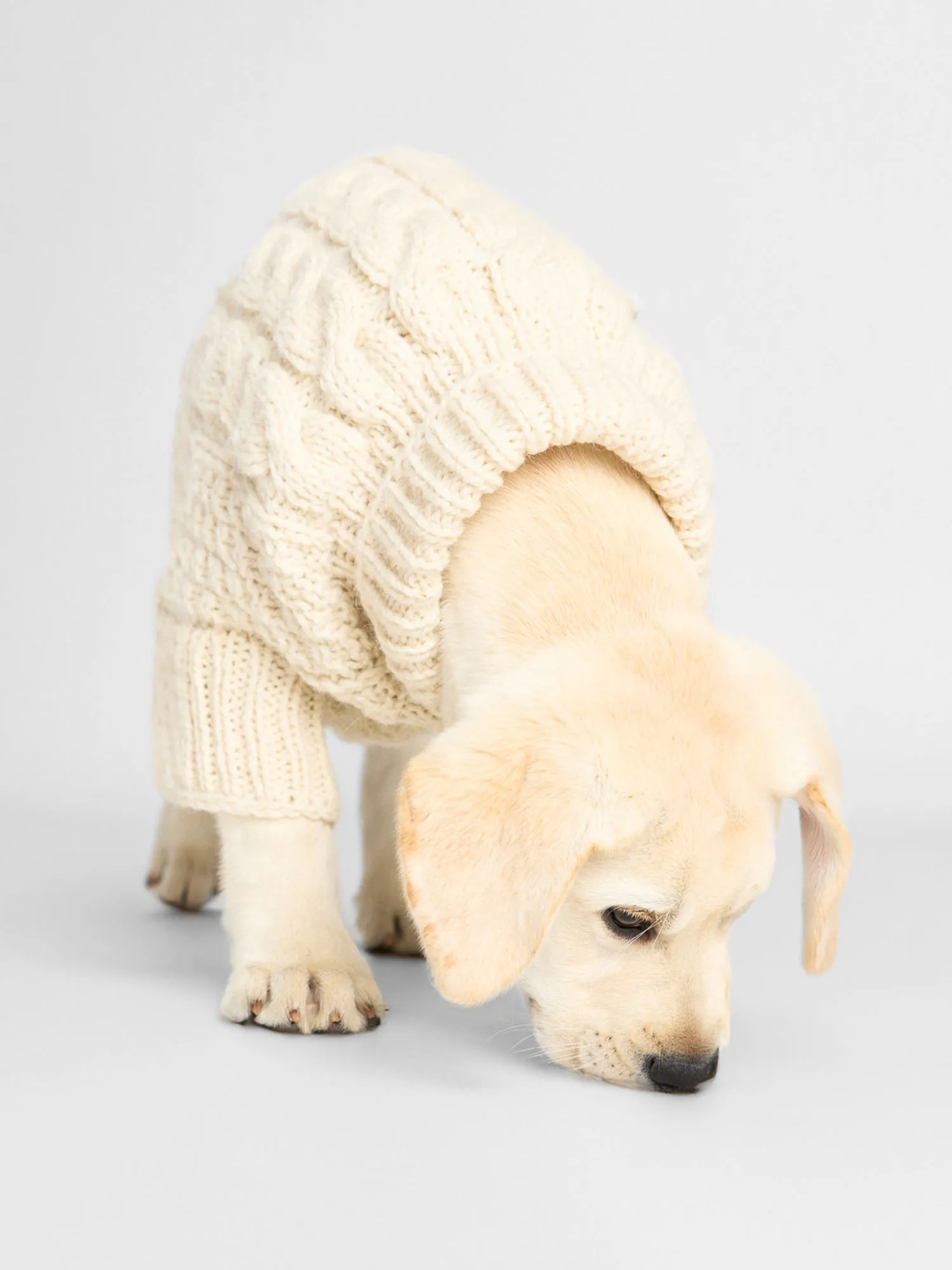 The Cable Dog Sweater