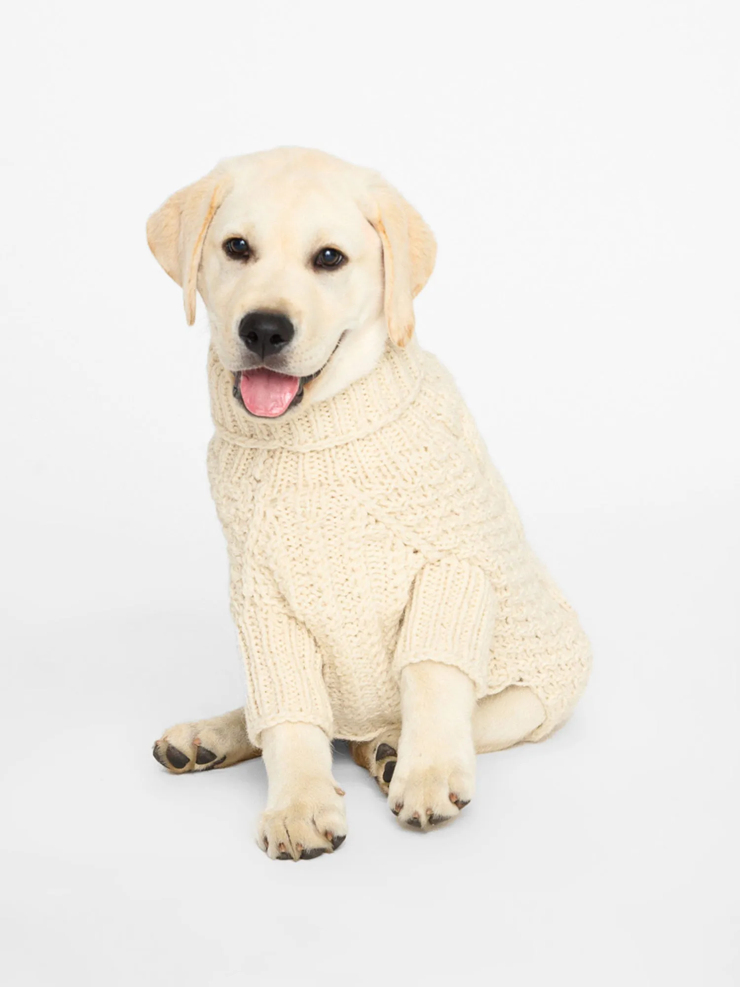 The Cable Dog Sweater