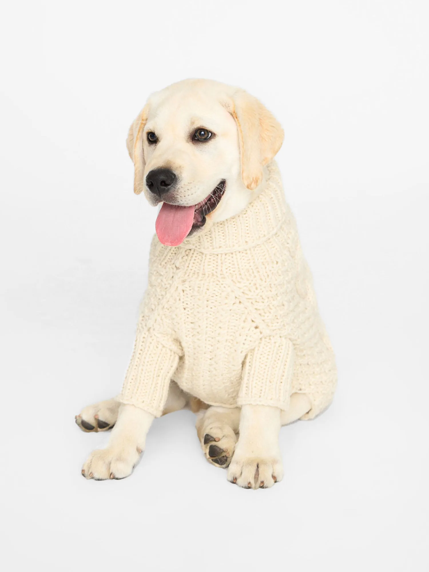 The Cable Dog Sweater