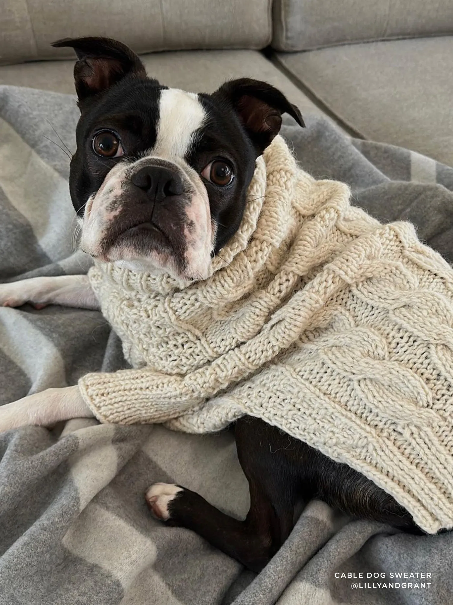 The Cable Dog Sweater